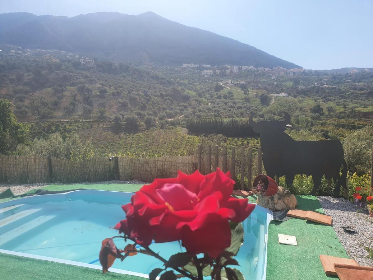 Casa Papi Vila Alcaucín Exterior foto